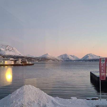 Aurora Harbour House Villa Lodingen Buitenkant foto
